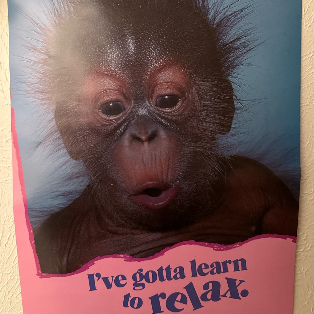 Meet your Posher, Bill